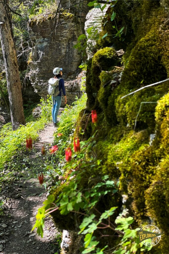 Thacher State Park