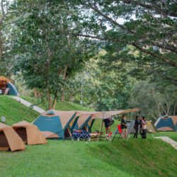 HOOGA Camping in the Woods จุดกางเต็นท์เขาใหญ่ ที่ได้ชื่อว่าเป็น ‘Private Premium Campground’ ท่ามกลางขุนเขาและพงไพรรอบด้าน