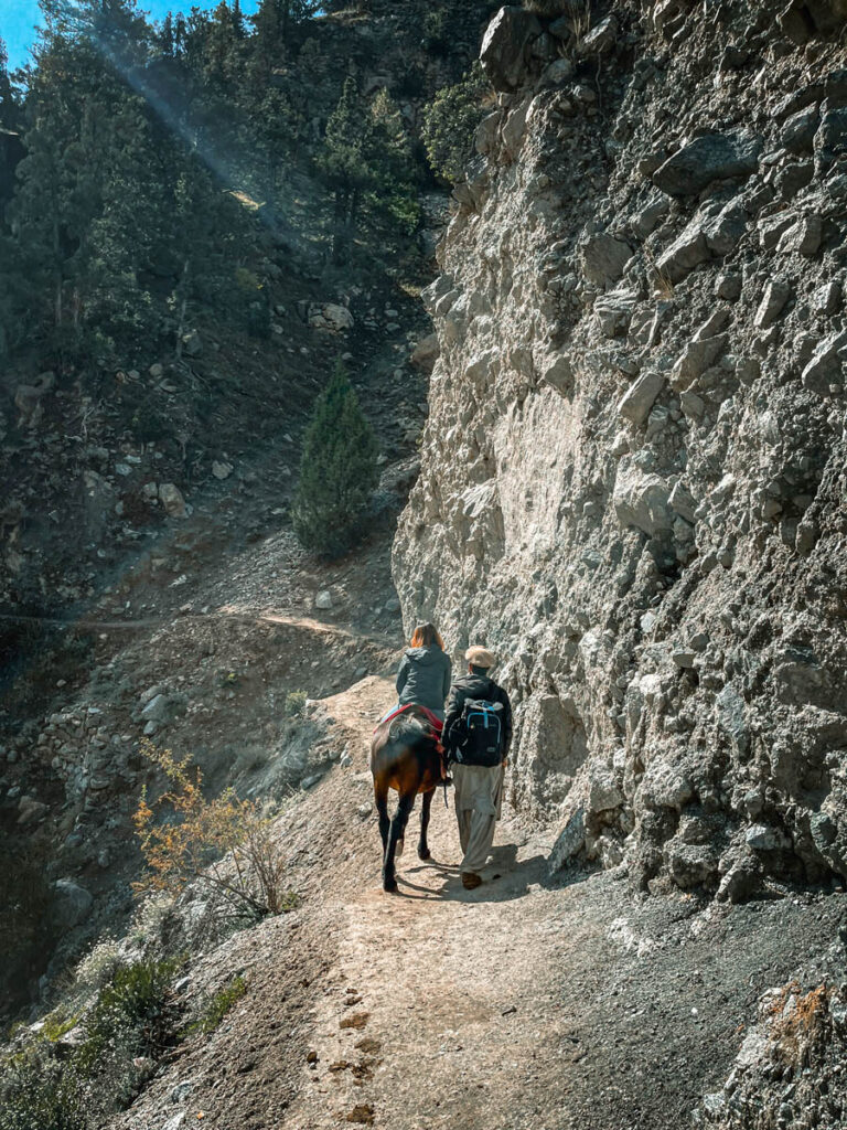 Fairy Meadows แฟรี่มิโดวส์ Heaven on Earth ทุ่งหญ้าแห่งเทพนิยาย ปากีสถาน เดินป่า Trekking Hiking ขี่ม้า