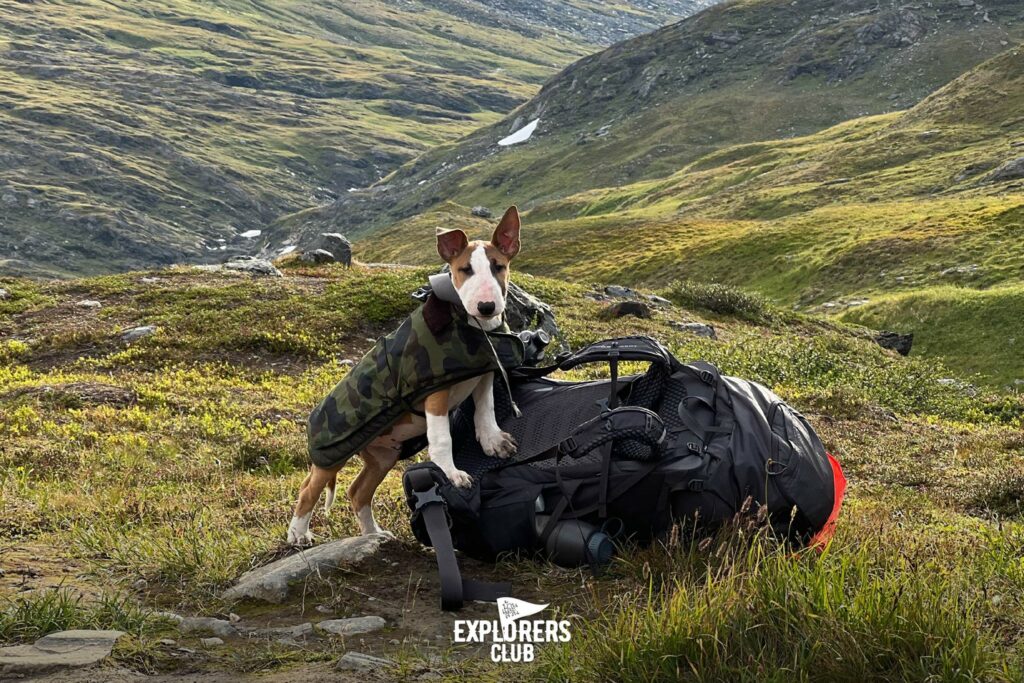 ปั้นและต่าย พาลูกสุนัขพันธุ์บูล เทอร์เรีย ที่พวกเขาเพิ่งจะนำมาเลี้ยงได้เพียงสามวัน ไปเดินป่าระยะไกล 100 กิโลเมตร ในเส้นทาง Fjällräven Classic Sweden