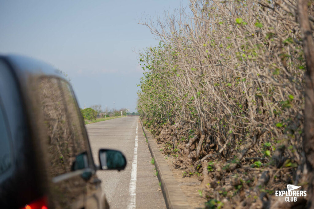 เจี้ยอี้ Chiayi County เทศมณฑลทางตะวันตกเฉียงใต้ที่ใหญ่เป็นอันดับ 6 ของ ไต้หวัน เป็นส่วนหนึ่งในแคมเปญ “Walk and Bike to the Unseen of Taiwan - ปั่นได้ฟีล ท่องวิวใหม่ที่ไต้หวัน” ที่ บ้านและสวน Explorers Club และ National Geographic Thailand จับมือกับ การท่องเที่ยวไต้หวัน ด้วยความตั้งใจจะลองไปรู้จักไต้หวันให้ไกลกว่าไทเป กับ 4 เส้นทางใน 5 เมืองรอบเกาะไต้หวัน ซึ่งเราคัดสรรและอยากชวนคุณไปค้นหาไต้หวันในมุมใหม่ในแบบฉบับของเรา เราตั้งเป้าพาคุณไปท่องวิวใหม่ที่ไต้หวัน จึงอยากพาคุณไปรู้จักเมืองนี้ให้มากกว่ามีอาลีซาน อุทยานแห่งชาติอาลีซาน (Alishan National Forest Recreation Area)