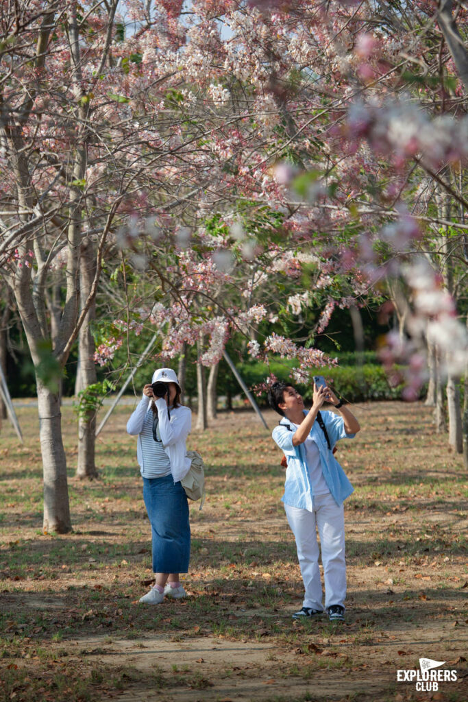 เจี้ยอี้ Chiayi County เทศมณฑลทางตะวันตกเฉียงใต้ที่ใหญ่เป็นอันดับ 6 ของ ไต้หวัน เป็นส่วนหนึ่งในแคมเปญ “Walk and Bike to the Unseen of Taiwan - ปั่นได้ฟีล ท่องวิวใหม่ที่ไต้หวัน” ที่ บ้านและสวน Explorers Club และ National Geographic Thailand จับมือกับ การท่องเที่ยวไต้หวัน ด้วยความตั้งใจจะลองไปรู้จักไต้หวันให้ไกลกว่าไทเป กับ 4 เส้นทางใน 5 เมืองรอบเกาะไต้หวัน ซึ่งเราคัดสรรและอยากชวนคุณไปค้นหาไต้หวันในมุมใหม่ในแบบฉบับของเรา เราตั้งเป้าพาคุณไปท่องวิวใหม่ที่ไต้หวัน จึงอยากพาคุณไปรู้จักเมืองนี้ให้มากกว่ามีอาลีซาน อุทยานแห่งชาติอาลีซาน (Alishan National Forest Recreation Area)