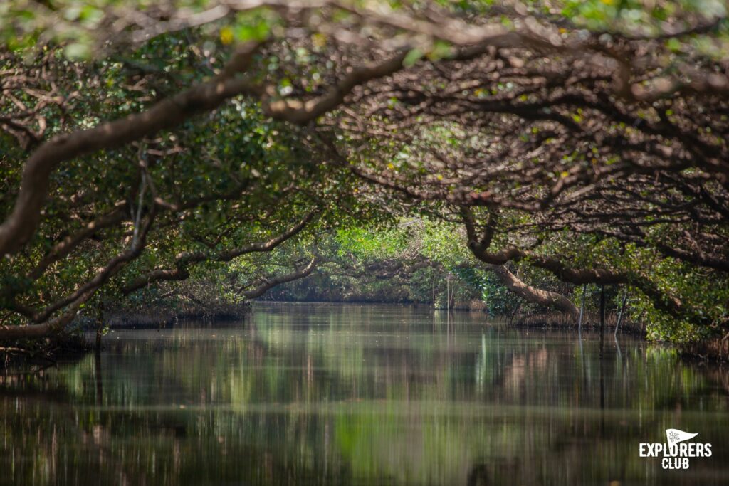 เรามีคำตอบว่าทำไม ไถหนาน จึงถูกเลือกมาเป็นส่วนหนึ่งในทริป “Walk and Bike to the Unseen of Taiwan - ปั่นได้ฟีล ท่องวิวใหม่ที่ไต้หวัน” โดย บ้านและสวน Explorers Club และ National Geographic Thailand จับมือกับ การท่องเที่ยวไต้หวัน ด้วยความตั้งใจจะลองไปรู้จักไต้หวันให้ไกลกว่าไทเป กับ 4 เส้นทางใน 5 เมืองรอบเกาะไต้หวัน ซึ่งเราคัดสรรและอยากชวนคุณไปค้นหาไต้หวันในมุมใหม่ในแบบฉบับของเรา