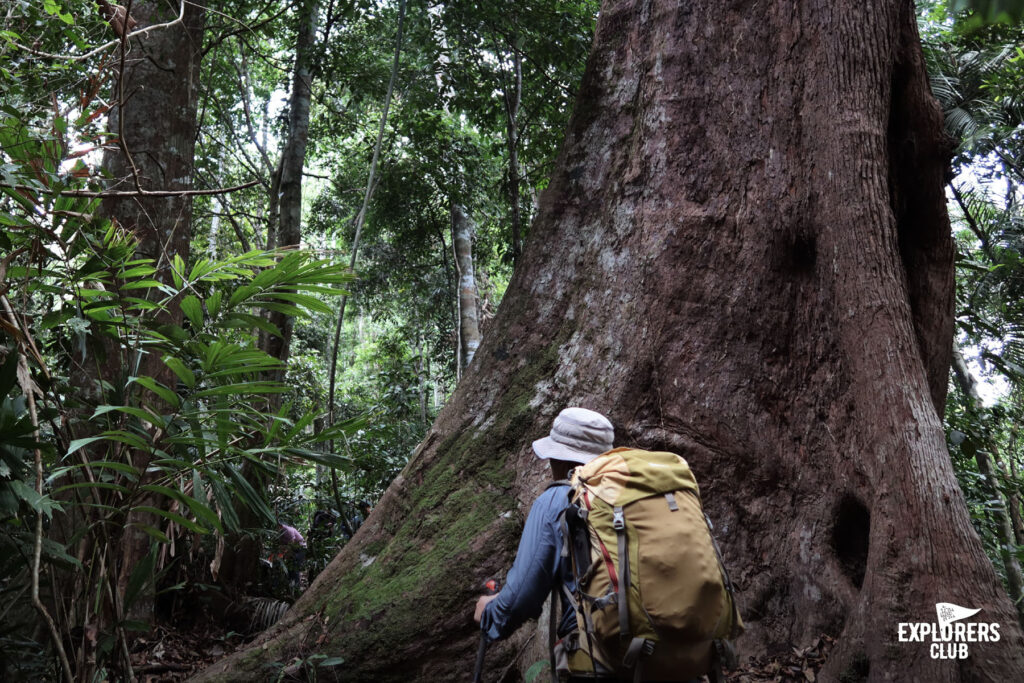 Fjällräven Thailand : Betong Hike 2024 เดินป่า เบตง ยะลา หาทริปเดินป่า Fjallraven Thailand Trail ทริปเดินป่า 2567 เดินป่า มือใหม่ เดินป่า ที่ไหน โหดสุด เดินป่าค้างคืน เดินป่าเดือนเมษายน เดินป่าใต้