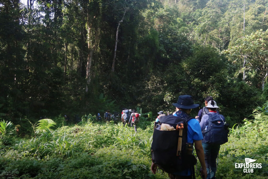 Fjällräven Thailand : Betong Hike 2024 เดินป่า เบตง ยะลา หาทริปเดินป่า Fjallraven Thailand Trail ทริปเดินป่า 2567 เดินป่า มือใหม่ เดินป่า ที่ไหน โหดสุด เดินป่าค้างคืน เดินป่าเดือนเมษายน เดินป่าใต้