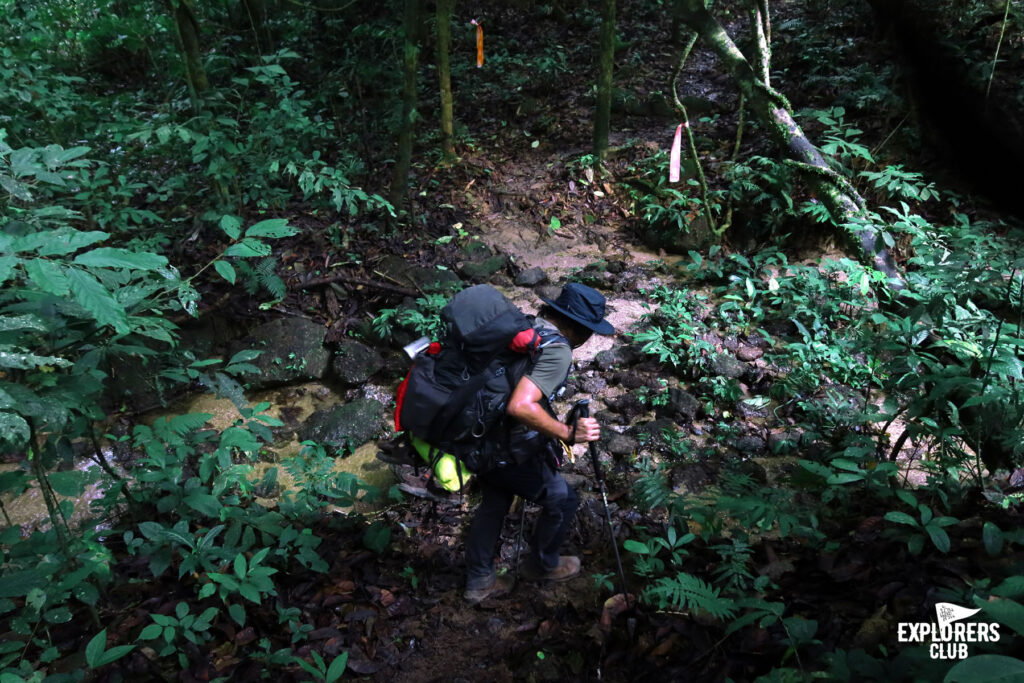 Fjällräven Thailand : Betong Hike 2024 เดินป่า เบตง ยะลา หาทริปเดินป่า Fjallraven Thailand Trail ทริปเดินป่า 2567 เดินป่า มือใหม่ เดินป่า ที่ไหน โหดสุด เดินป่าค้างคืน เดินป่าเดือนเมษายน เดินป่าใต้