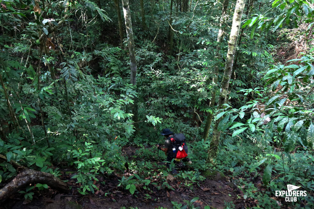 Fjällräven Thailand : Betong Hike 2024 เดินป่า เบตง ยะลา หาทริปเดินป่า Fjallraven Thailand Trail ทริปเดินป่า 2567 เดินป่า มือใหม่ เดินป่า ที่ไหน โหดสุด เดินป่าค้างคืน เดินป่าเดือนเมษายน เดินป่าใต้