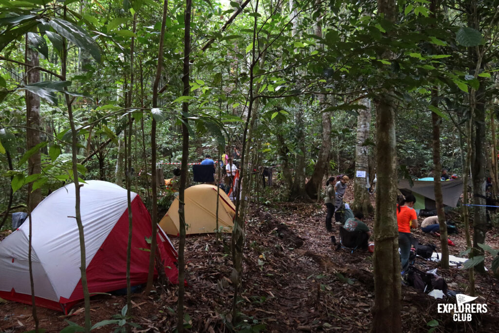 Fjällräven Thailand : Betong Hike 2024 เดินป่า เบตง ยะลา หาทริปเดินป่า Fjallraven Thailand Trail ทริปเดินป่า 2567 เดินป่า มือใหม่ เดินป่า ที่ไหน โหดสุด เดินป่าค้างคืน เดินป่าเดือนเมษายน เดินป่าใต้