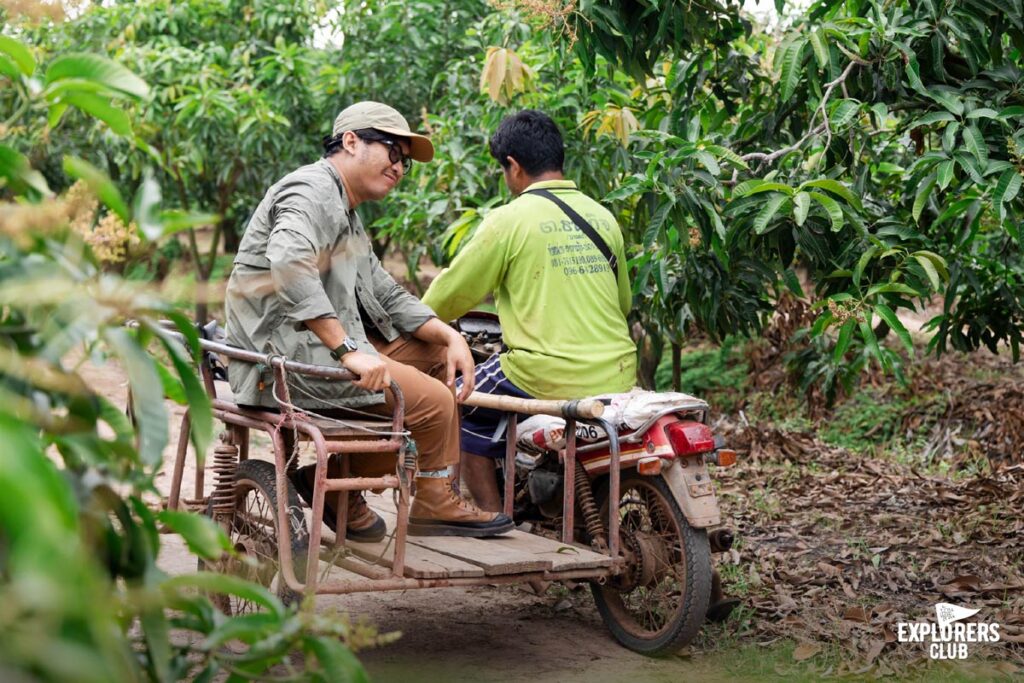 เยี่ยมชุมชนกลุ่มมะม่วงกวนท่าพลับโรงสีล่าง ดูการผลิต ซอสมะม่วง ซอสทัย ตั้งแต่ไร่มะม่วงจนถึงโรงงานแปรรูป