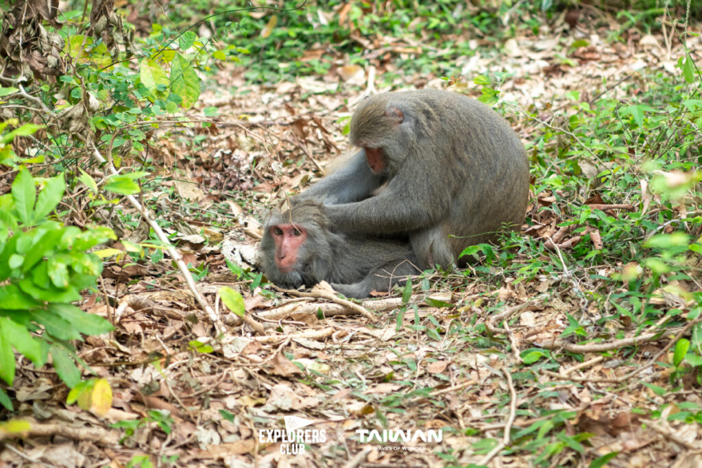 เกาสง ที่เที่ยวไต้หวัน เมืองธรรมชาติดีต่อใจ ทันสมัย และโรแมนติกที่สุดใน ไต้หวัน