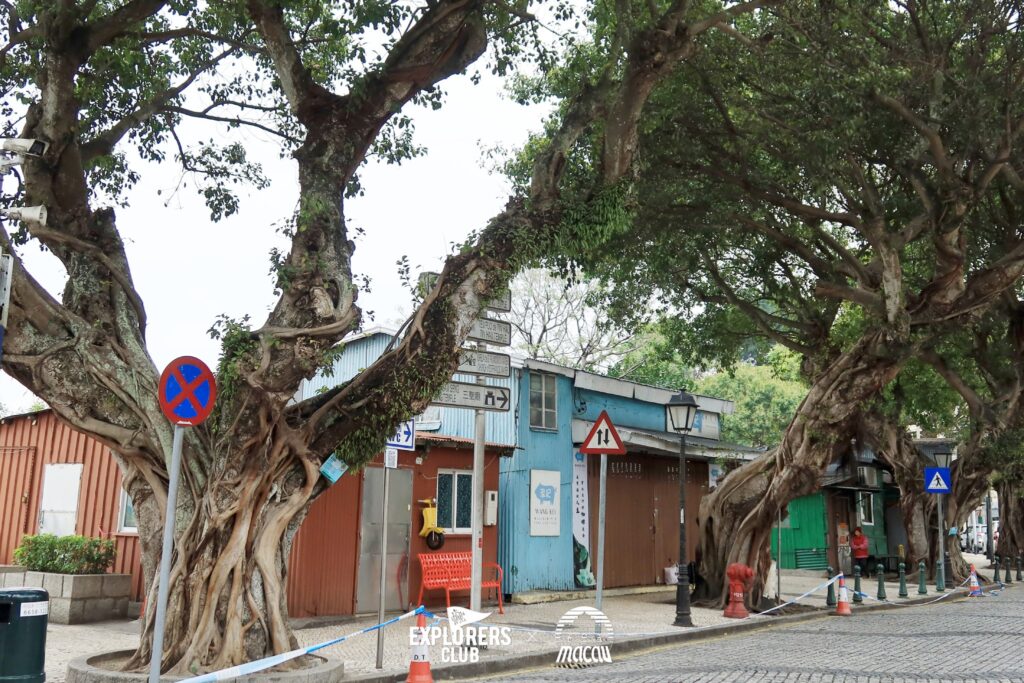 COLOANE VILLAGE หมู่บ้านโคโลอาน โลเกชั่นถ่ายภาพในมาเก๊า กับสตรีทอาร์ตในตรอก และตึกสีพาสเทล ที่คุณจะต้องหลงรัก