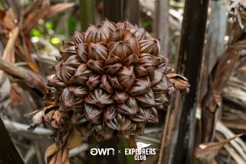 คุ้งบางกะเจ้า เที่ยวบางกะเจ้า ปอดคนกรุง สมุทรปราการ บางกะเจ้า