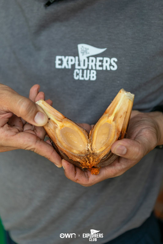 คุ้งบางกะเจ้า เที่ยวบางกะเจ้า ปอดคนกรุง สมุทรปราการ บางกะเจ้า