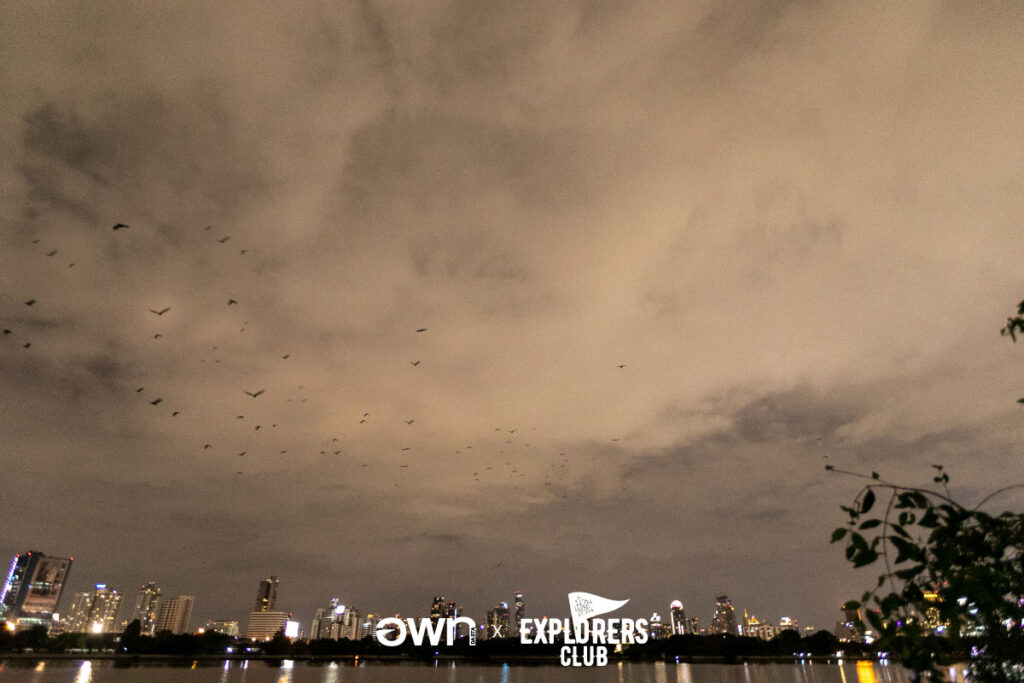 คุ้งบางกะเจ้า เที่ยวบางกะเจ้า ปอดคนกรุง สมุทรปราการ บางกะเจ้า