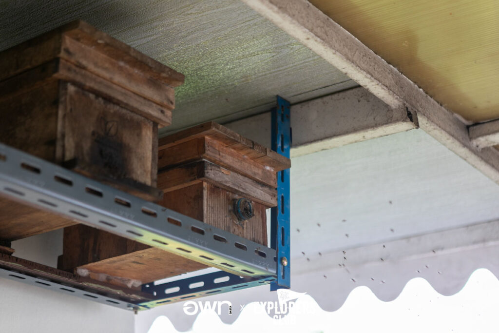 คุ้งบางกะเจ้า เที่ยวบางกะเจ้า ปอดคนกรุง สมุทรปราการ บางกะเจ้า