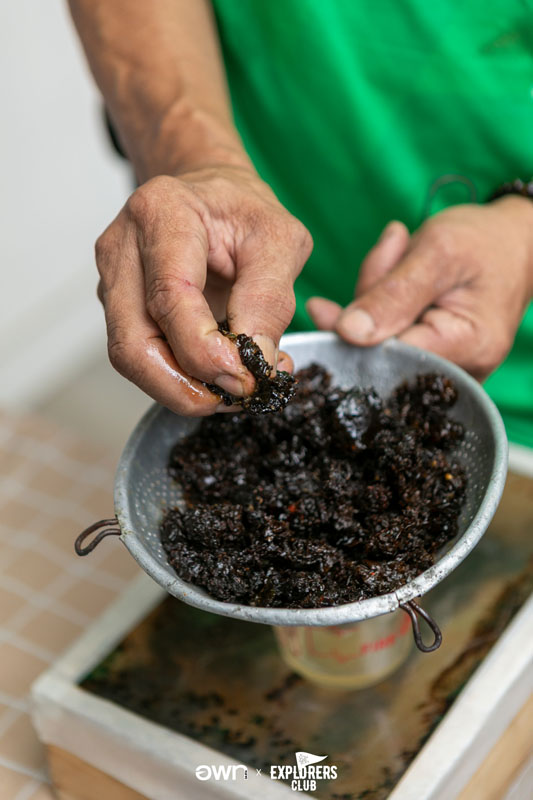 คุ้งบางกะเจ้า เที่ยวบางกะเจ้า ปอดคนกรุง สมุทรปราการ บางกะเจ้า