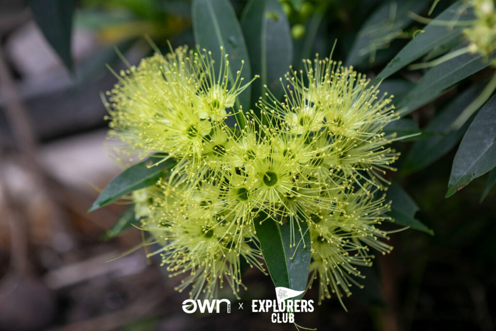 คุ้งบางกะเจ้า เที่ยวบางกะเจ้า ปอดคนกรุง สมุทรปราการ บางกะเจ้า