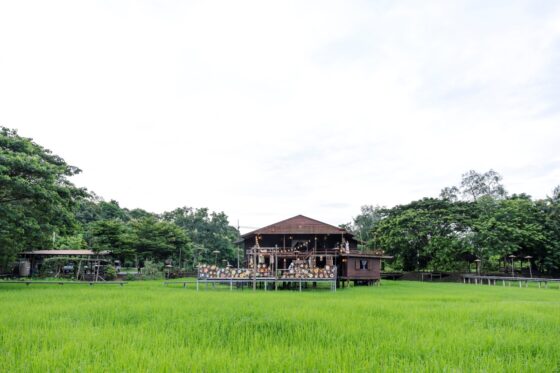 อพท.