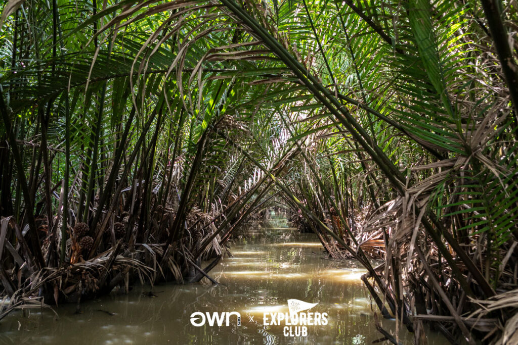 ล่องเรือลอดอุโมงค์ต้นจาก คุ้งบางกะเจ้า