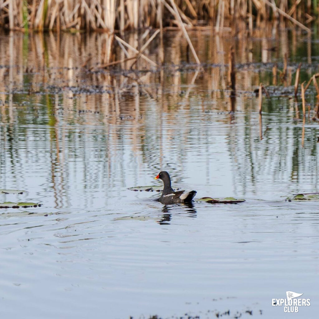 ทุ่งสามร้อยยอด02