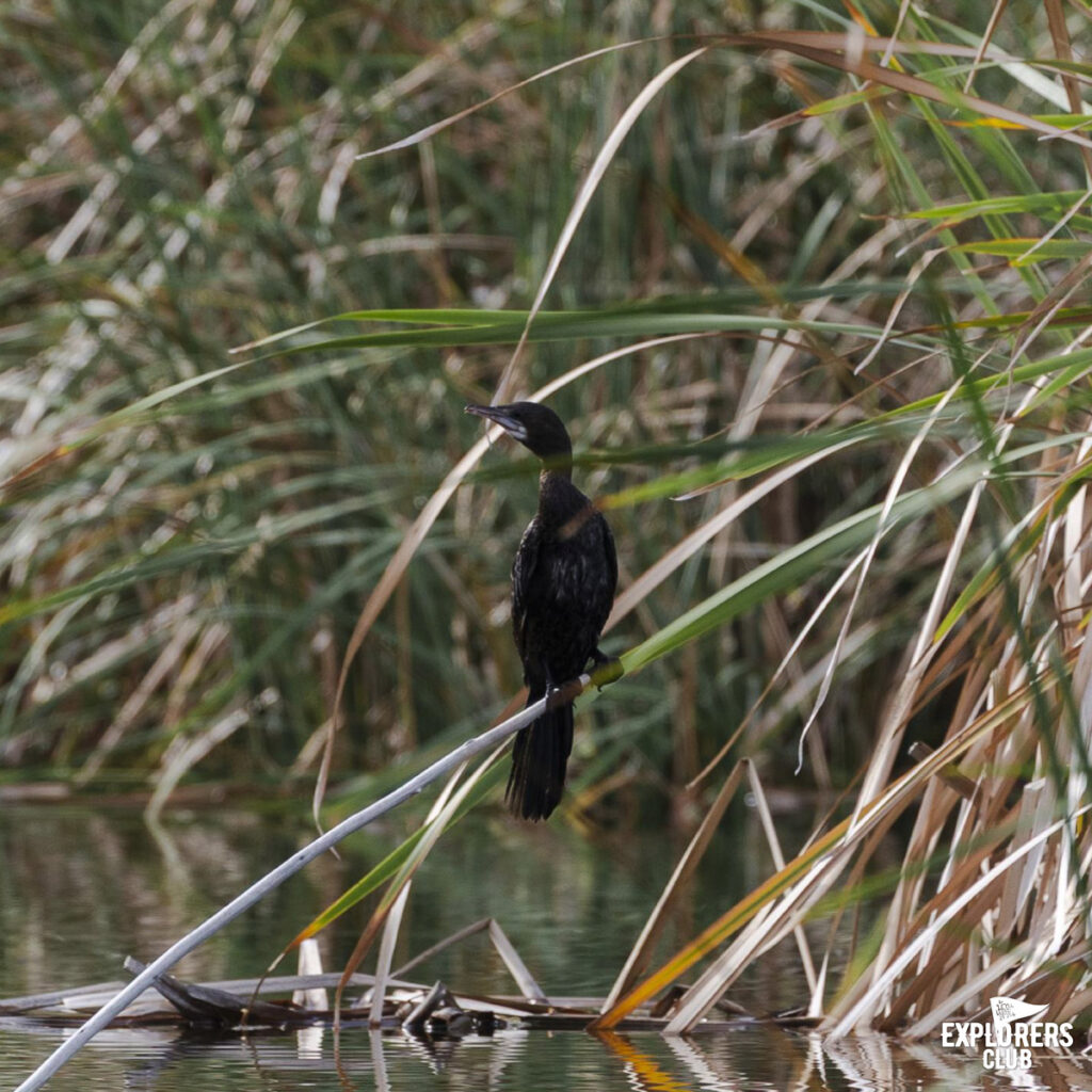 ทุ่งสามร้อยยอด06