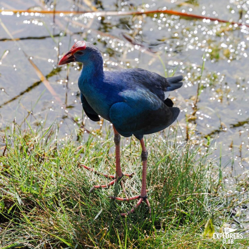 ทุ่งสามร้อยยอด08