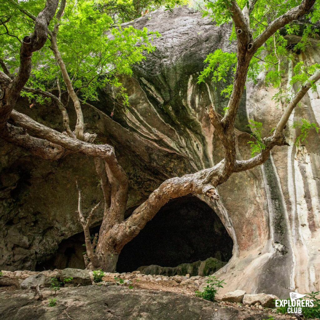 ทุ่งสามร้อยยอด10