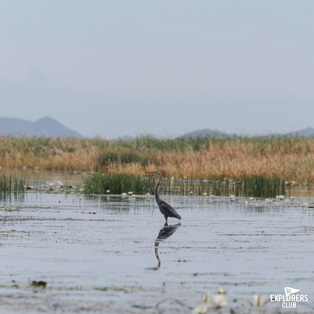 ทุ่งสามร้อยยอด17