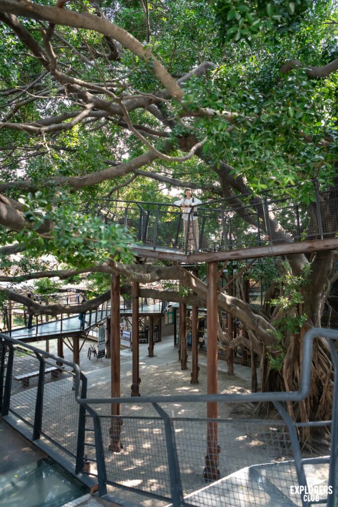 Ten Drum Cultural Village เที่ยวไถหนาน เที่ยวไต้หวัน ไถหนาน โรงงานน้ำตาล ครีเอทีสเปซ ไต้หวัน