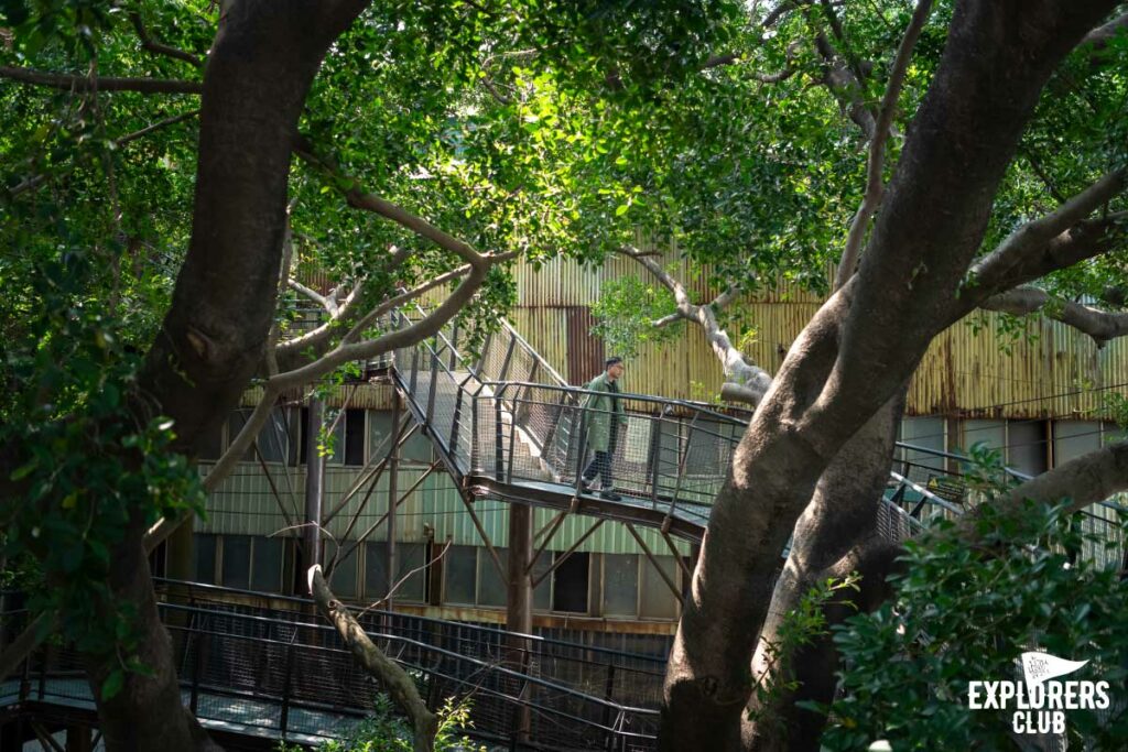 Ten Drum Cultural Village เที่ยวไถหนาน เที่ยวไต้หวัน ไถหนาน โรงงานน้ำตาล ครีเอทีสเปซ ไต้หวัน
