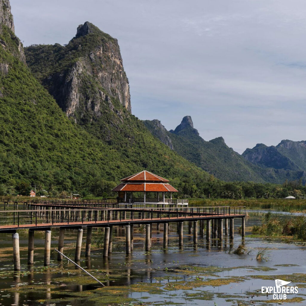 ทุ่งสามร้อยยอด21