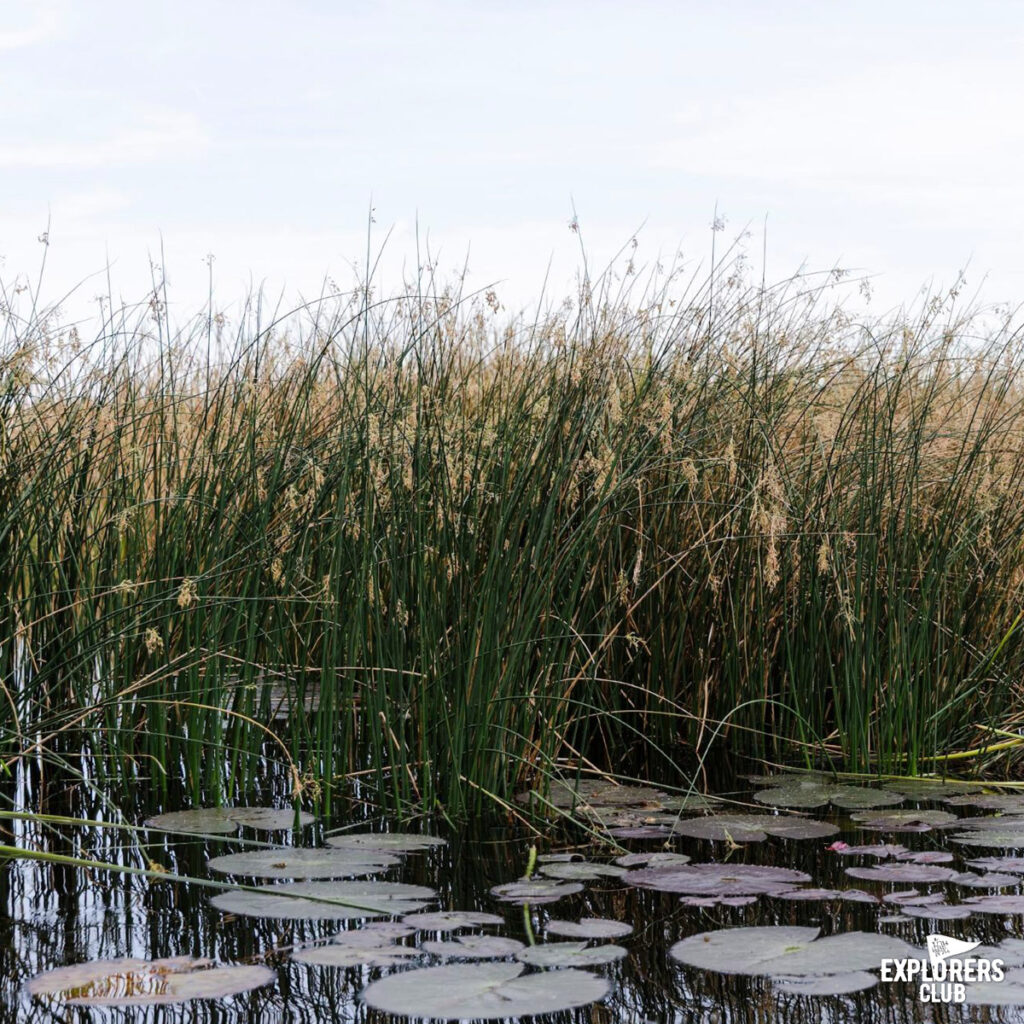 ทุ่งสามร้อยยอด23