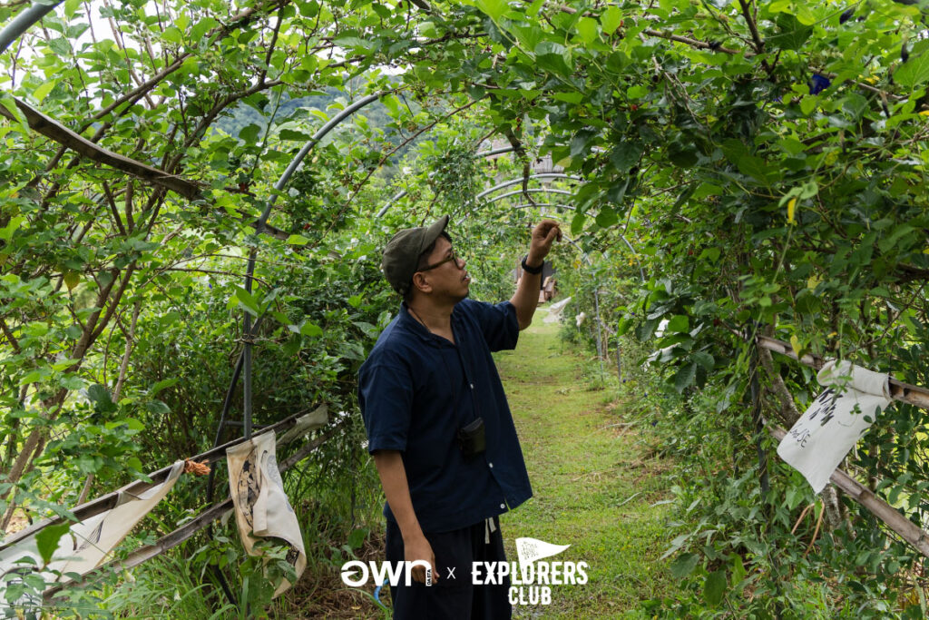 เลย เชียงคาน ภูหลวง อพท. ที่เที่ยวเลย เที่ยวเลย