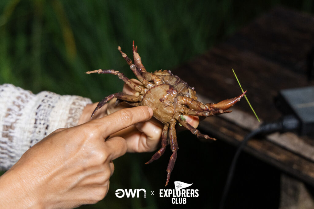 เลย เชียงคาน ภูหลวง อพท. ที่เที่ยวเลย เที่ยวเลย