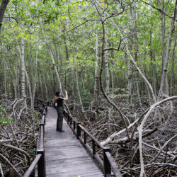 ปากน้ำปราณ