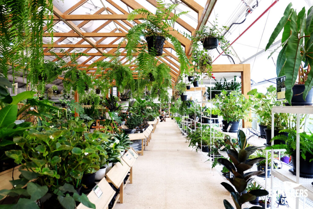 SAMA Garden (สมาการ์เด้น) พื้นที่สีเขียวในร่มอาคารของ BITEC BURI (ไบเทคบุรี) ที่ออกแบบให้เป็นมุมหลบลี้ของผู้ที่โหยหาธรรมชาติกลางเมืองใหญ่ เหมาะกับผู้ที่ขับรถผ่านย่านบางนาแล้วอยากหาที่จอดคุยกับความสงบซึ่งไม่อาจพบได้บนท้องถนน หรือผู้ที่อยากหนีเจ้านายมานั่งปรับทุกข์กับเพื่อนร่วมงานจิบกาแฟพักผ่อนสมองสัก 2-3 ชั่วโมง แล้วกลับไปลุยงานใหม่ ไม่ว่าจะเหตุผลไหน ที่นี่ก็เหมาะ