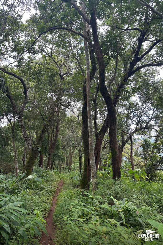 แคมปิ้ง