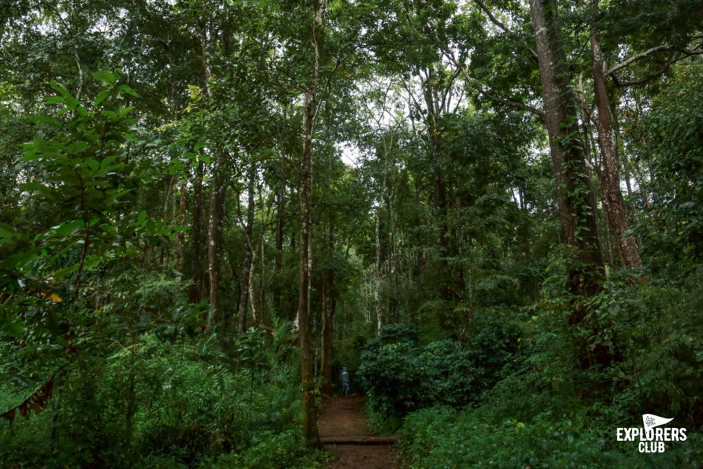 บ้านหัวทุ่ง