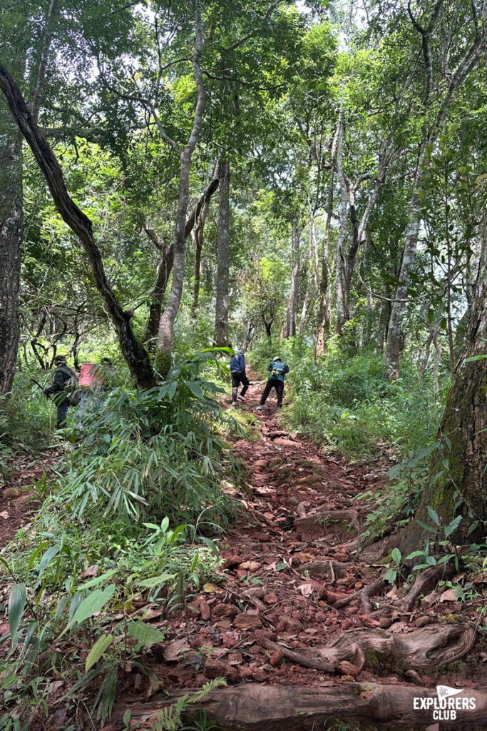 แคมปิ้ง