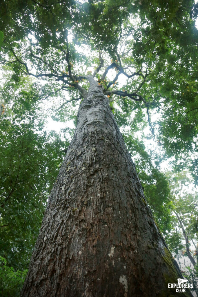 บ้านหัวทุ่ง