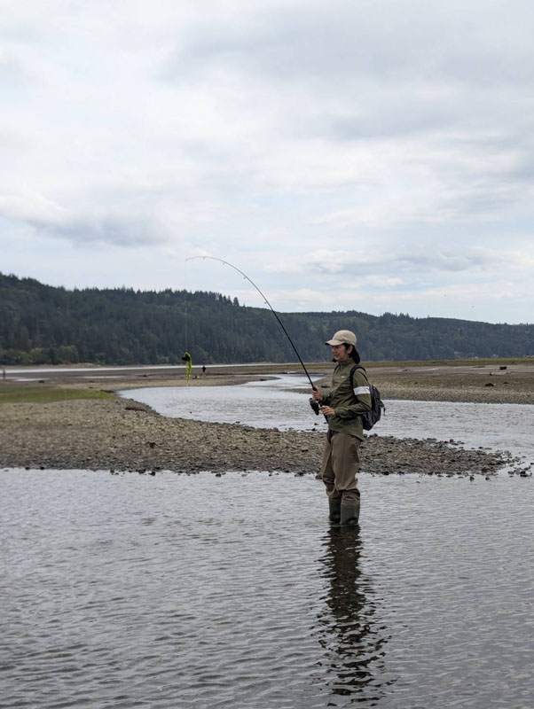 Pacific Northwest เป็นแหล่ง wild salmon ชั้นดี ซึ่งเมื่อเป็นปลาที่อยู่ตามธรรมชาติ ทั้งรสชาติ คุณภาพ คุณค่าทางอาหาร ย่อมดีกว่าปลาที่เลี้ยงในฟาร์ม แถมปราศจากการใช้ยาปฏิชีวนะและไม่ก่อให้เกิดมลภาวะในแหล่งน้ำด้วย ราคาตามท้องตลาดถึงได้สูงลิบลิ่ว เพราะเป็นที่ต้องการของเชฟตามร้านอาหารชั้นนำ นี่คือเรื่องราวส่วนหนึ่งในช่วงต้นของบทความที่เขียนโดย สวม-สุวิมล สงวนสัตย์ ในระหว่างการกลับไป Seattle ครั้งแรกในรอบ 20 ปี ซึ่งเธอมีภารกิจสำคัญ คือการไปตกปลาแซลมอนกับอังเคิลวัย 84 ปีอีกสักครั้งที่ปากแม่น้ำ Big Quilcene River หนึ่งในจุดตกปลาแซลม่อนที่ดีที่สุดบนคาบสมุทรโอลิมปิกในวอชิงตัน สหรัฐอมริกา ที่จำกัดโควต้าให้ตกปลาแซลม่อนได้ไม่เกิน 4 ตัวต่อคน ต่อวัน ในฤดูผสมพันธุ์ ซึ่งแซลมอนจะว่ายทวนน้ำกลับเข้ามายังลำธารหรือแม่น้ำที่พวกมันเกิดเสมอเพื่อวางไข่