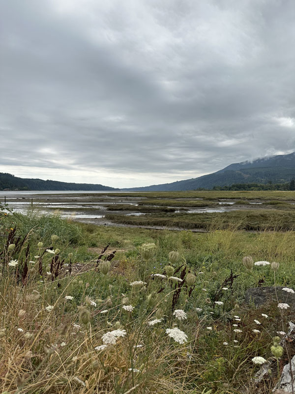 จากที่จอดรถเราต้องเดินไปสุดขอบน้ำโน่น