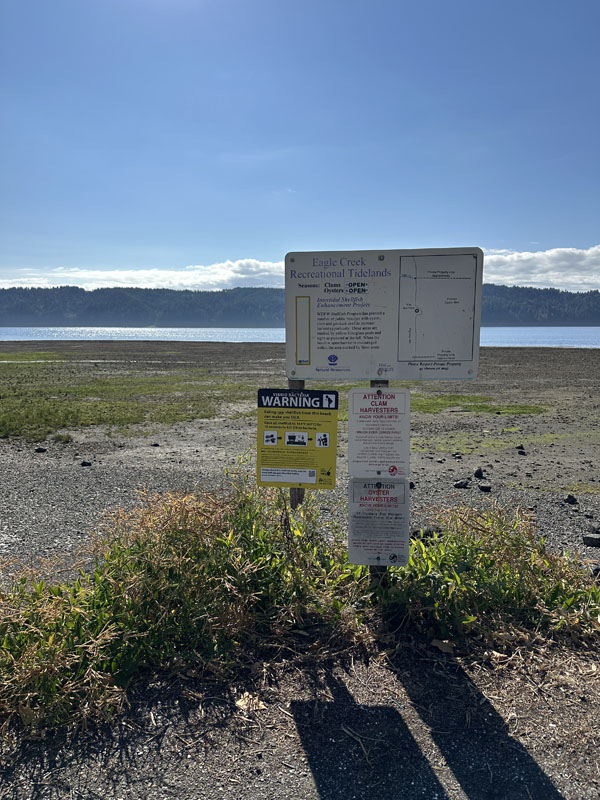 Pacific Northwest เป็นแหล่ง wild salmon ชั้นดี ซึ่งเมื่อเป็นปลาที่อยู่ตามธรรมชาติ ทั้งรสชาติ คุณภาพ คุณค่าทางอาหาร ย่อมดีกว่าปลาที่เลี้ยงในฟาร์ม แถมปราศจากการใช้ยาปฏิชีวนะและไม่ก่อให้เกิดมลภาวะในแหล่งน้ำด้วย ราคาตามท้องตลาดถึงได้สูงลิบลิ่ว เพราะเป็นที่ต้องการของเชฟตามร้านอาหารชั้นนำ นี่คือเรื่องราวส่วนหนึ่งในช่วงต้นของบทความที่เขียนโดย สวม-สุวิมล สงวนสัตย์ ในระหว่างการกลับไป Seattle ครั้งแรกในรอบ 20 ปี ซึ่งเธอมีภารกิจสำคัญ คือการไปตกปลาแซลมอนกับอังเคิลวัย 84 ปีอีกสักครั้งที่ปากแม่น้ำ Big Quilcene River หนึ่งในจุดตกปลาแซลม่อนที่ดีที่สุดบนคาบสมุทรโอลิมปิกในวอชิงตัน สหรัฐอมริกา ที่จำกัดโควต้าให้ตกปลาแซลม่อนได้ไม่เกิน 4 ตัวต่อคน ต่อวัน ในฤดูผสมพันธุ์ ซึ่งแซลมอนจะว่ายทวนน้ำกลับเข้ามายังลำธารหรือแม่น้ำที่พวกมันเกิดเสมอเพื่อวางไข่