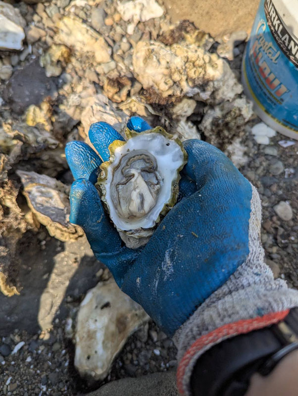 สดจากทะเลแบบนี้อยากแอบเอาเข้าปากก่อนเลย