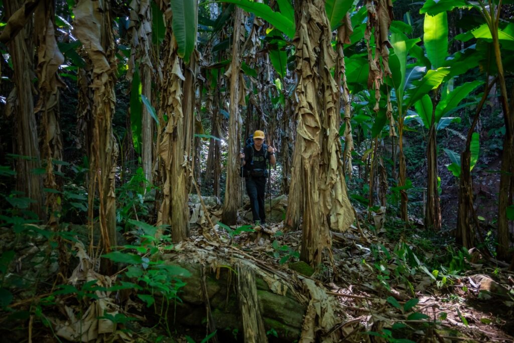 สวนพฤกษศาสตร์
