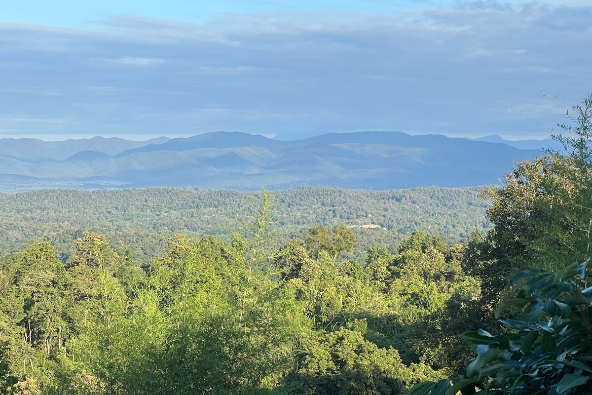 นอนเต็นท์ ดูดาว และอาบป่า