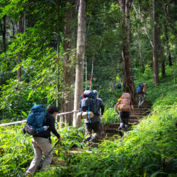 สวนพฤกษศาสตร์