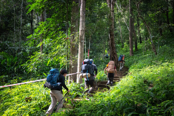 สวนพฤกษศาสตร์