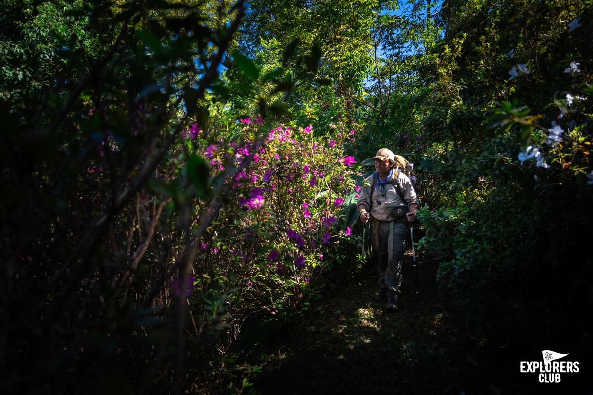 เดินป่าในสวนพฤกษศาสตร์ฯ เชียงใหม่
