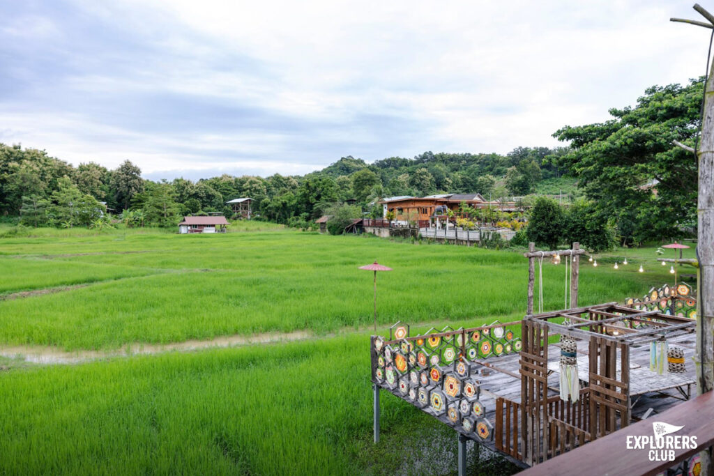 บ้านนาต้นจั่น